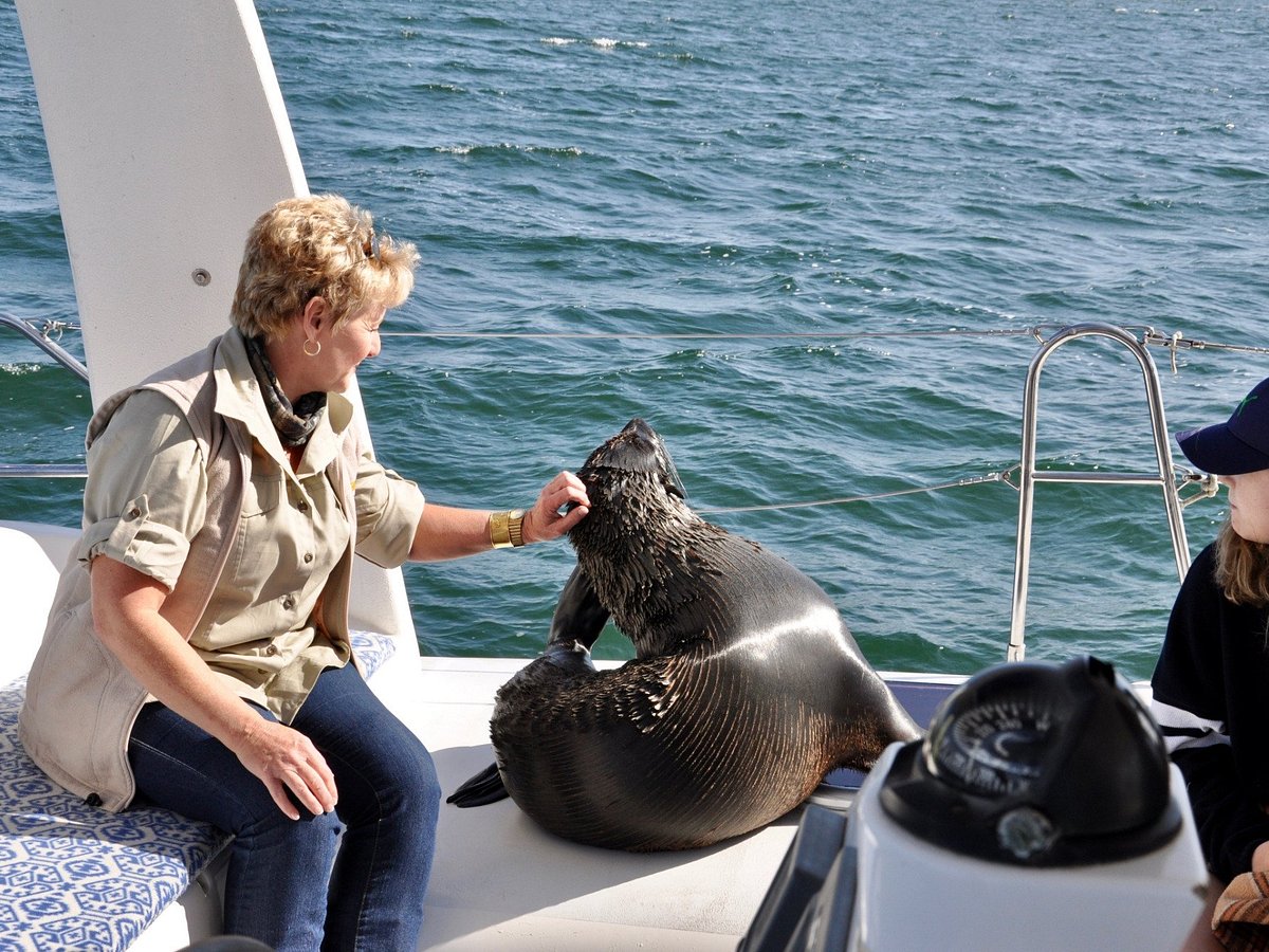 walvis bay tour guides