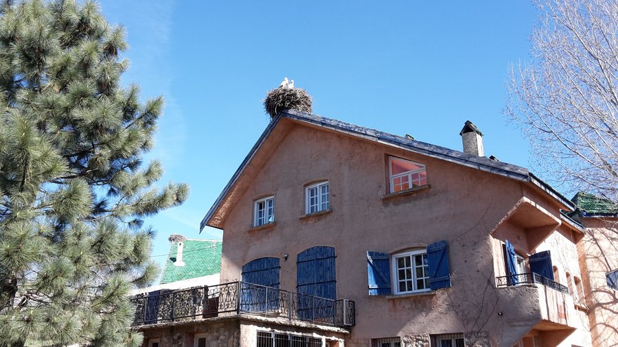 Storkbon på hotellbyggnaden
