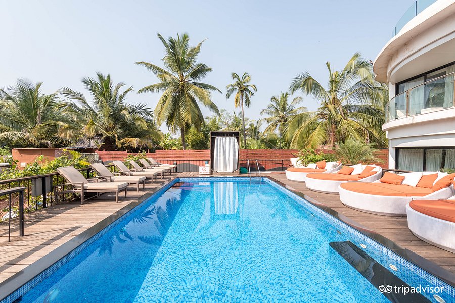21+ Hotels In Baga Beach Goa Tripadvisor