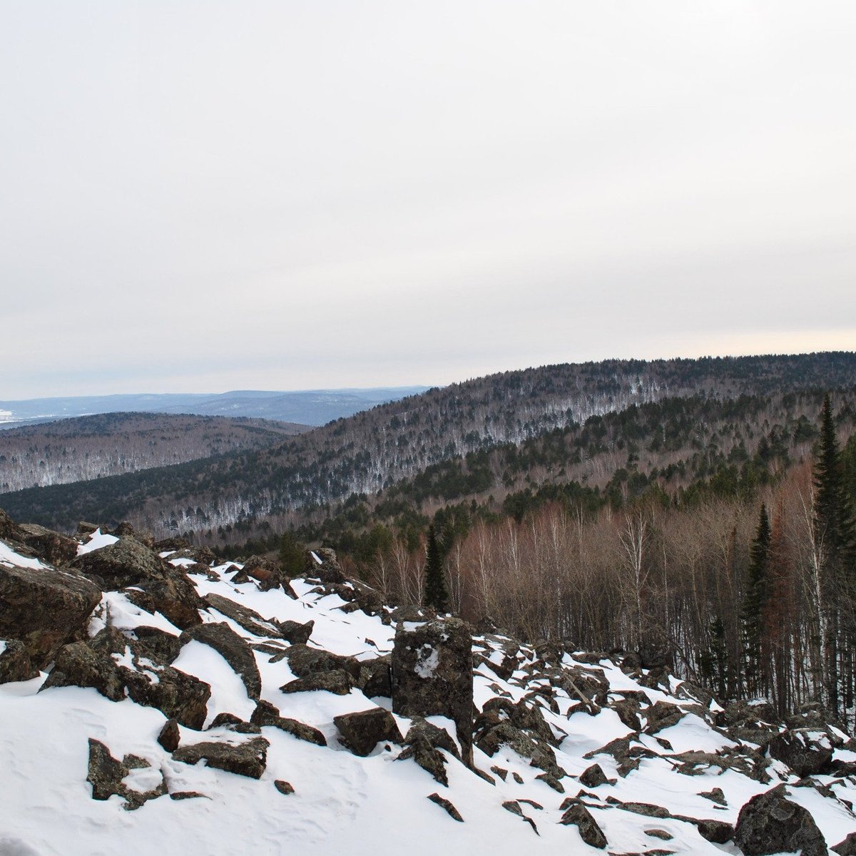 Чёрная сопка, Красноярск: лучшие советы перед посещением - Tripadvisor