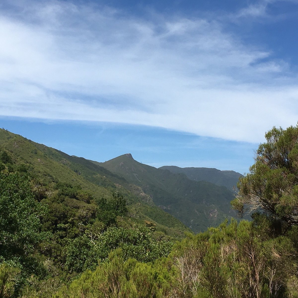 Madeira Explorers - Levada and Leisure Walks, Фуншал: лучшие советы перед  посещением - Tripadvisor