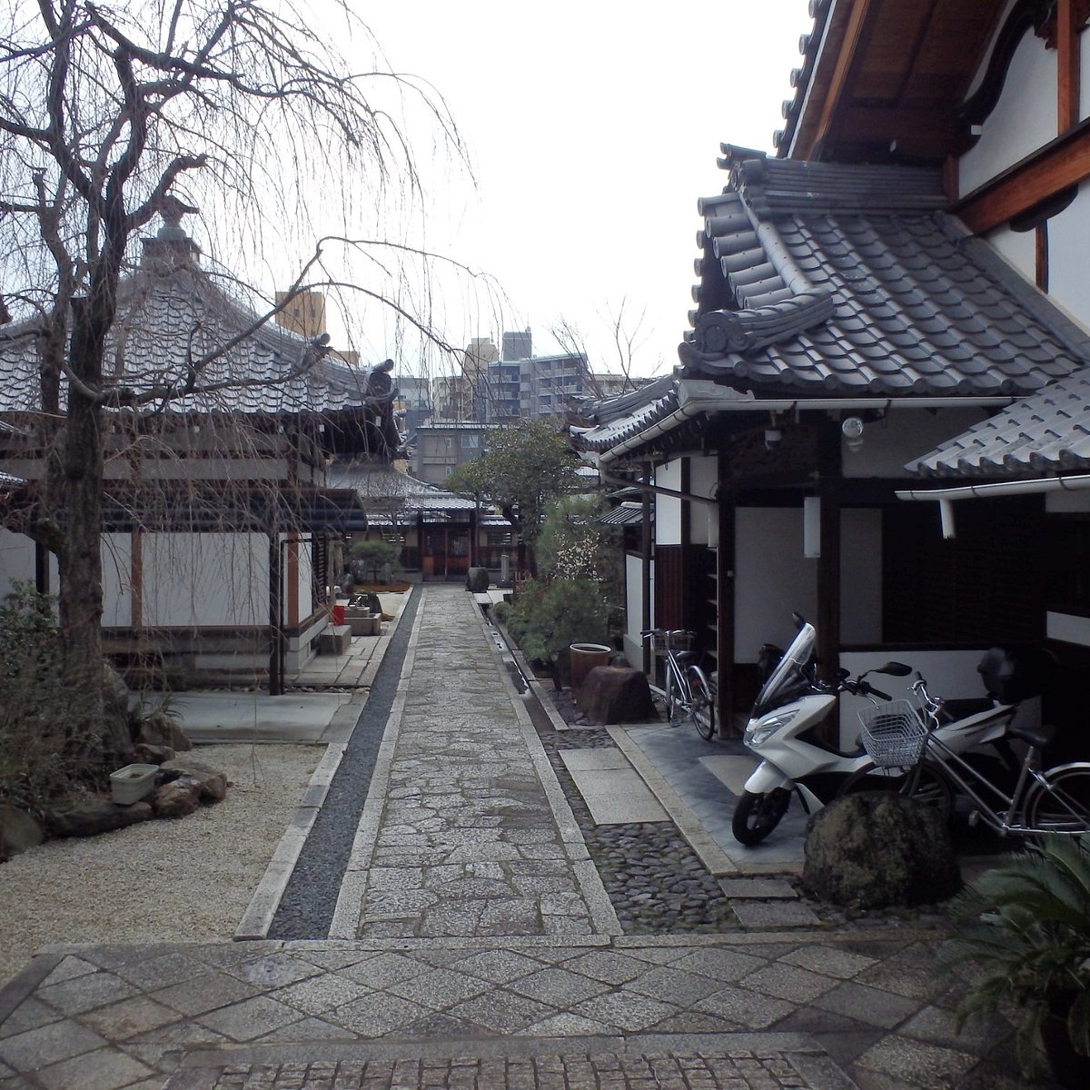Seiko-ji Temple (Kyoto) - All You Need to Know BEFORE You Go