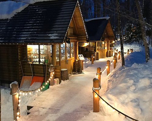 21年 富良野市で絶対外さないおすすめ観光スポットトップ10 定番から穴場まで トリップアドバイザー 21年 富良野市で絶対外さないおすすめ観光スポットトップ10 定番から穴場まで トリップアドバイザー