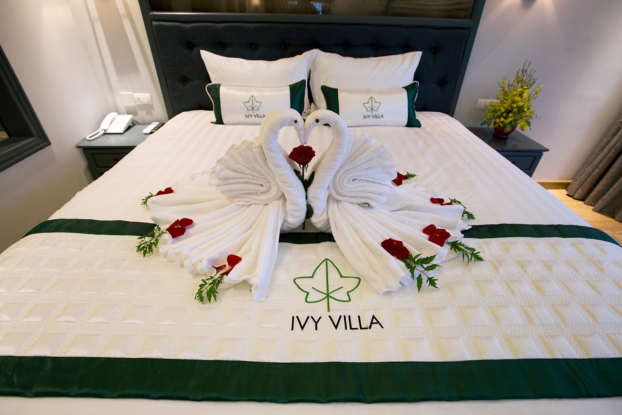 IVY VILLA by null