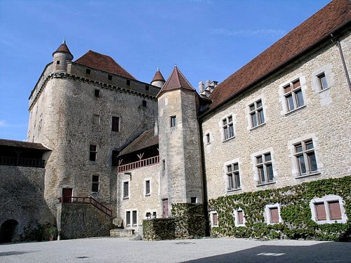 la tour du pin basket