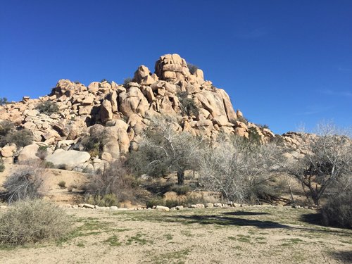 Joshua Tree National Park northernneckinn review images