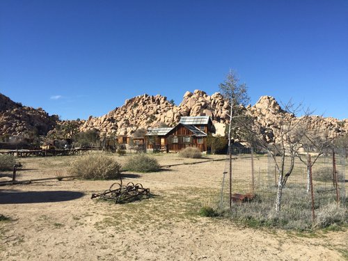 Joshua Tree National Park northernneckinn review images