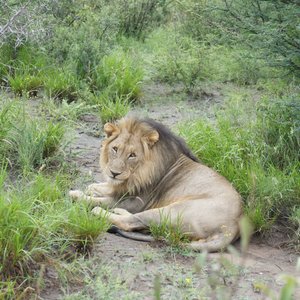 Molopo Game Reserve - North-West Province - Molopo Game Reserve ...