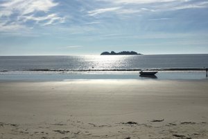 Viajante