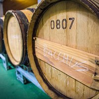 Denbies Winery