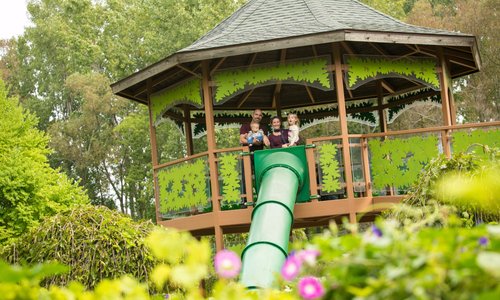 With every visit, a new adventure awaits!