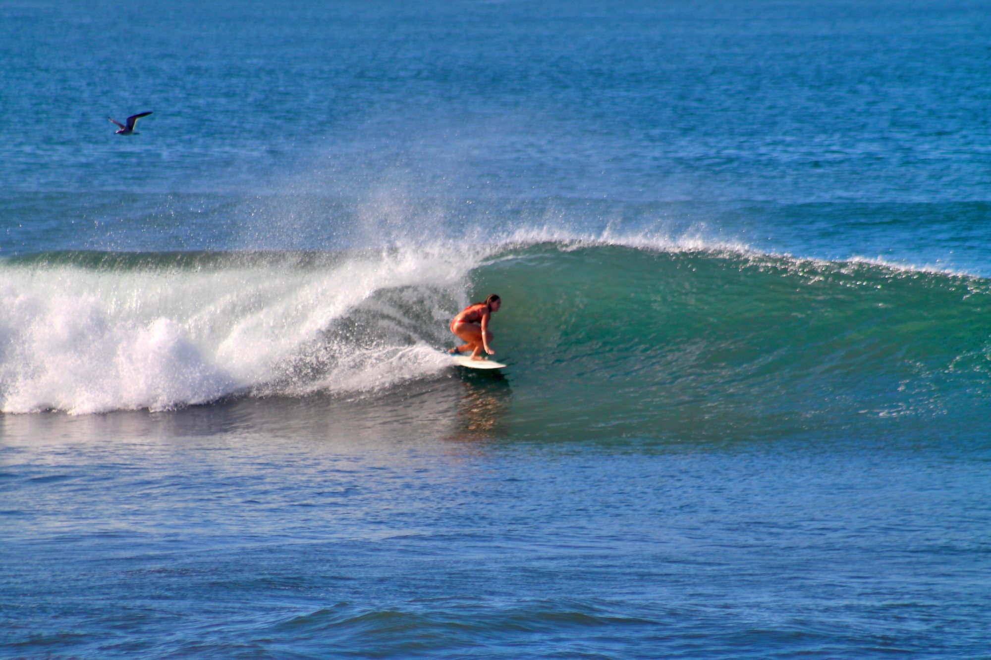 solid surf nicaragua