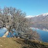 Things To Do in Discover the cultural monuments and hidden paths of Prespa, Restaurants in Discover the cultural monuments and hidden paths of Prespa