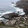 The 5 Best Things to do for Honeymoon in El Hierro, Canary Islands