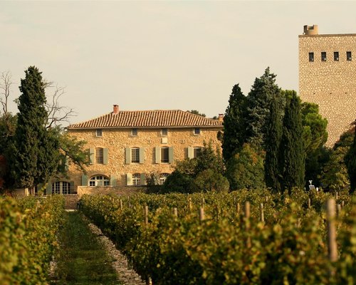 The 10 Best Chateauneuf Du Pape Wineries Vineyards