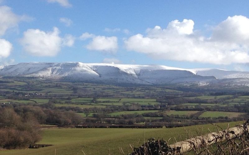 View from our lane