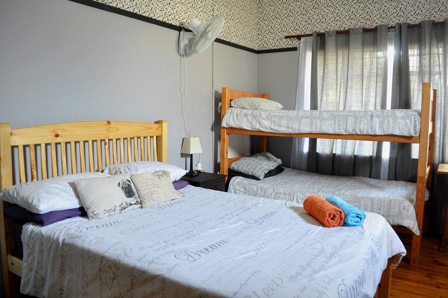 Pumbas Backpackers Prices Hostel Reviews Pretoria South Africa Tripadvisor