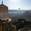 The 5 Best Things to do in Sariska, Rajasthan