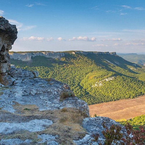 Первый в Крыму: в Бахчисарайском парке миниатюр поселился морж Салтан