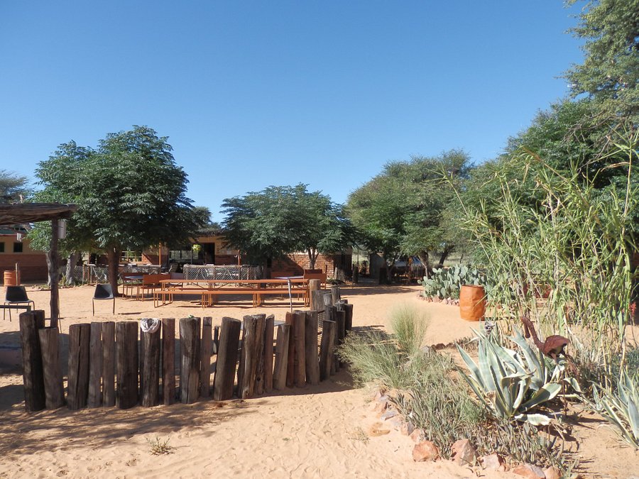 Berry Bush Camp Tsabong Campground Reviews Kgalagadi Transfrontier