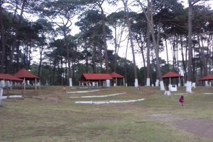 Áreas familiares y de juego
