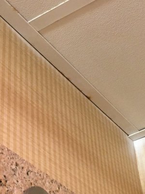 HOLIDAY INN EXPRESS SUITES WARRENTON AN IHG HOTEL $113 ($̶1̶6̶2̶