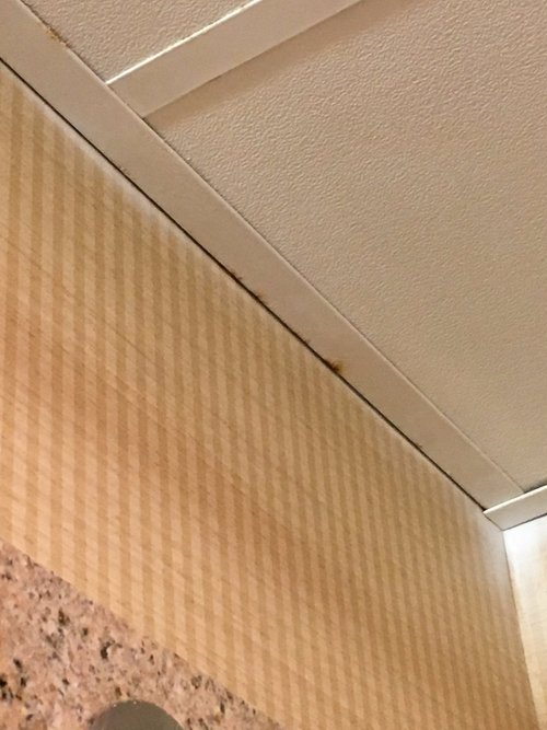 HOLIDAY INN EXPRESS SUITES WARRENTON AN IHG HOTEL $116 ($̶1̶3̶4̶