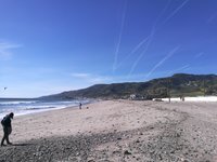 File:Dolphins, Zuma Beach, Malibu, California (13) (3125722034