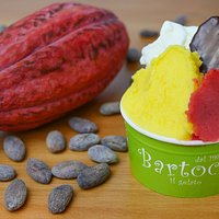 Coppetta Gelato