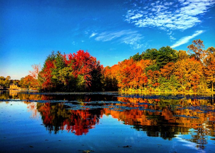 Autumn on Abbott's Pond