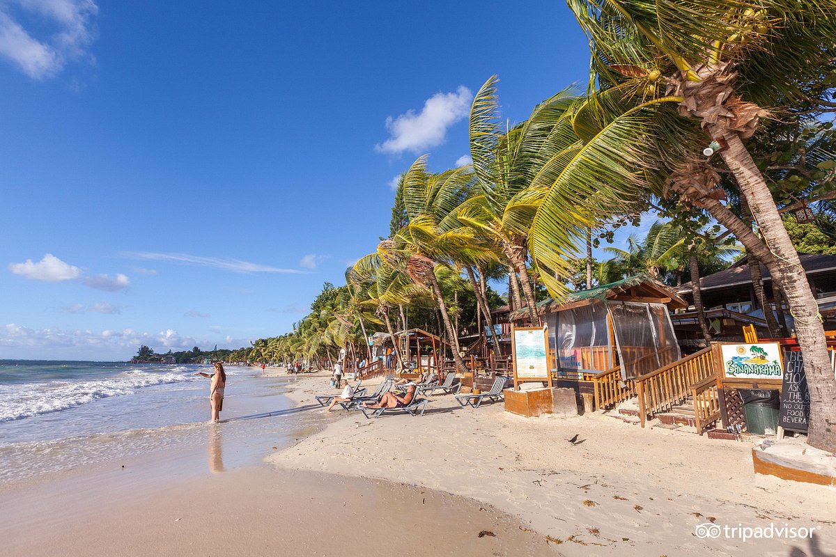 Bananarama Dive &amp; Beach Resort, hotel em Roatan