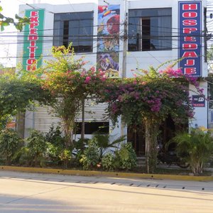 recepción del Hostel