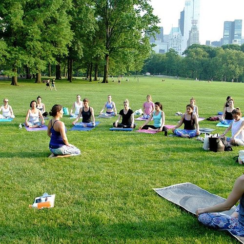 Yoga Wall - Central Park Physical Therapy