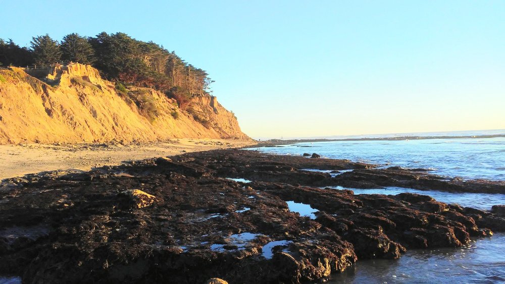 2021 Best of Moss Beach, CA Tourism Tripadvisor