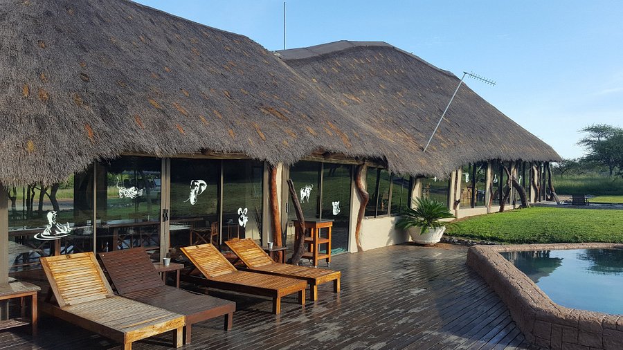 KUNKURU PRIVATE BUSH LODGE Reviews  Bela Bela  South Africa