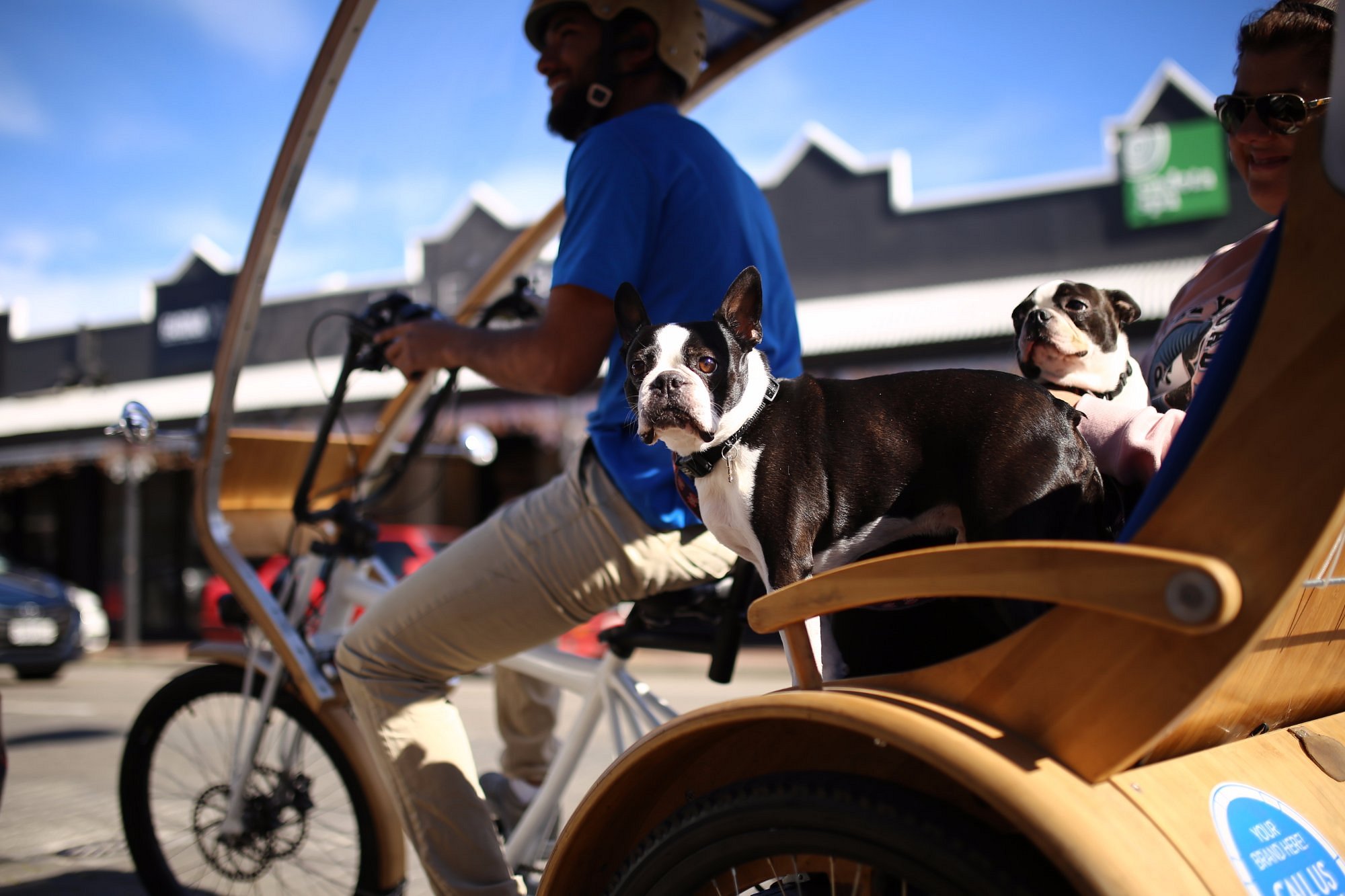 ecocaddy tours adelaide