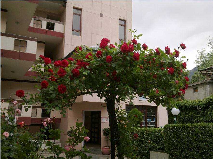 Hotel photo 13 of Sterling Manali.