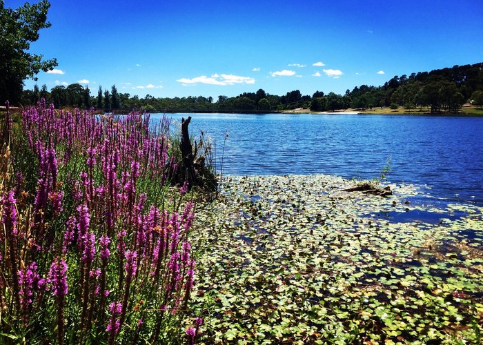 Stunning lake good for family picnic  and just relax  and they also have a  cafe  to enjoy coffe