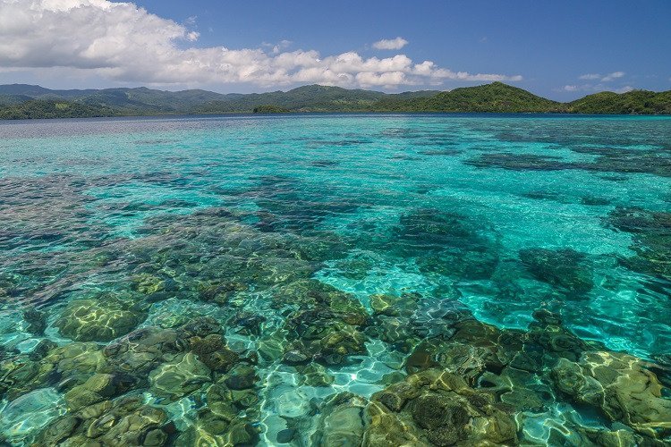 Snorkel the Great Astrolabe Barrier Reef