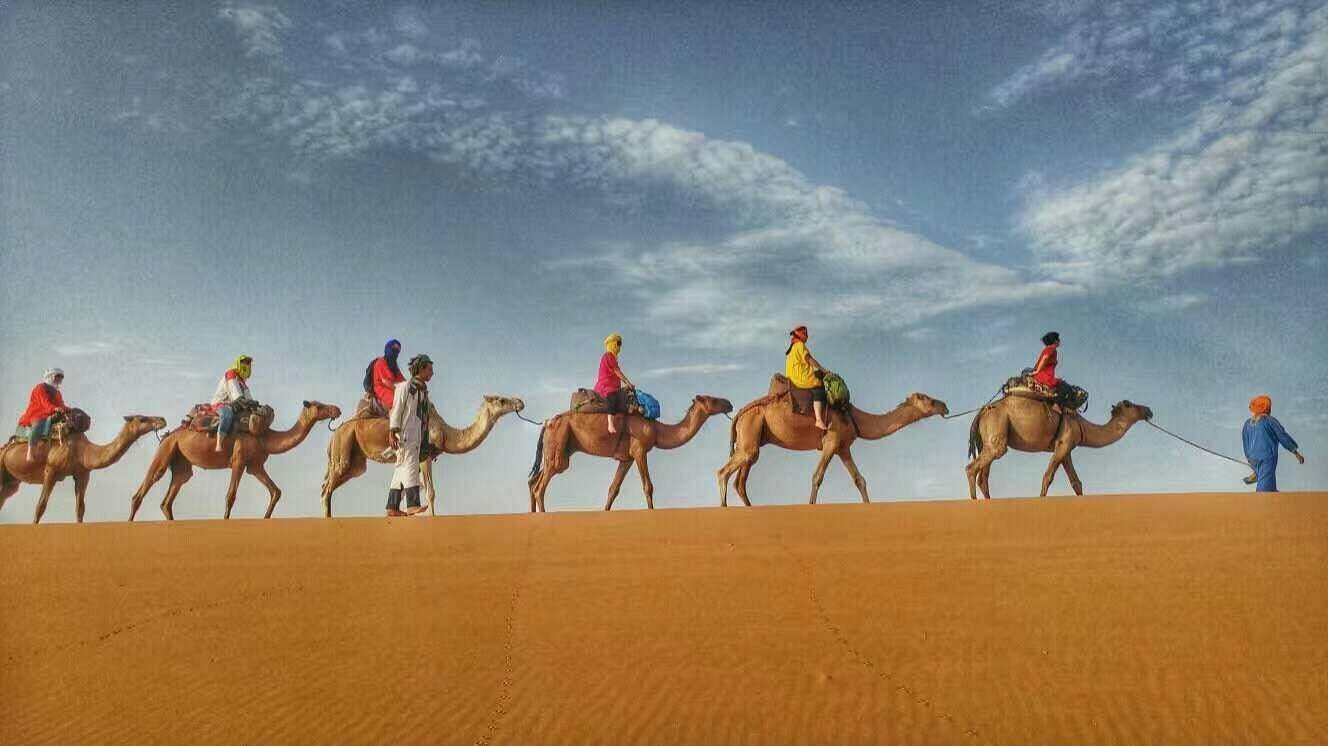 camel walk tours