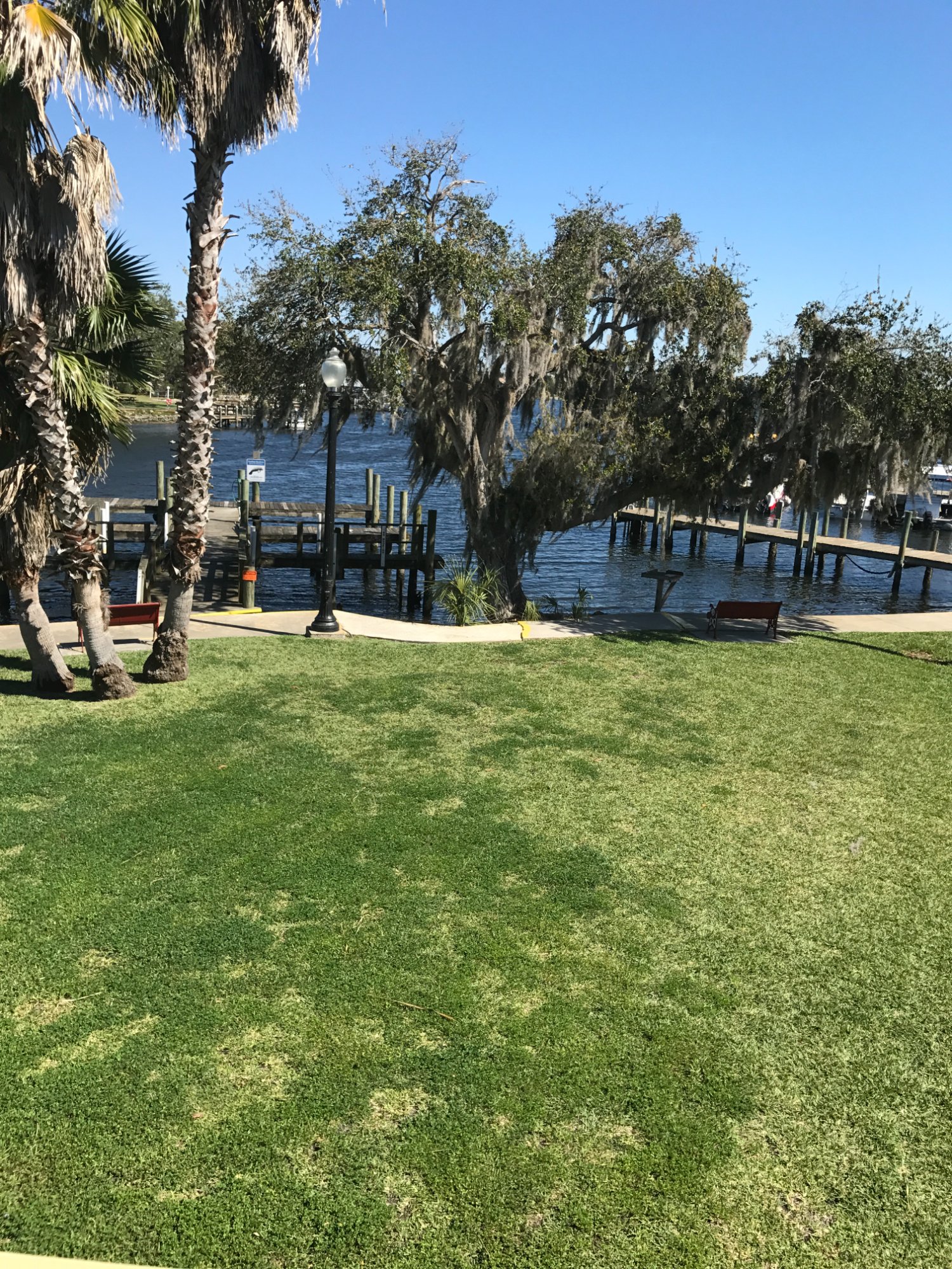 Florida Cracker Riverside Resort Rooms Pictures Reviews Tripadvisor   This Was The View From 