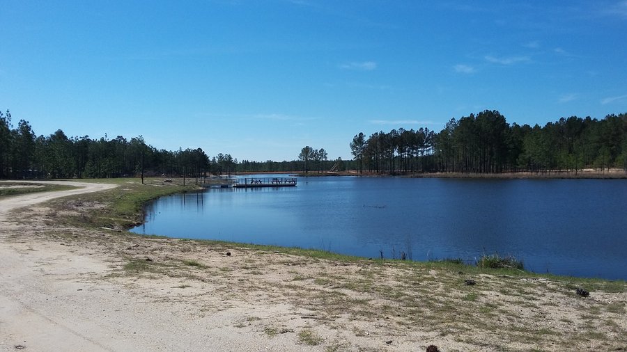 Magnolia Branch Wildlife Reserve  Go Camping America