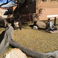 The jail tree still stands.