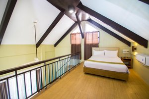 Room & Suite