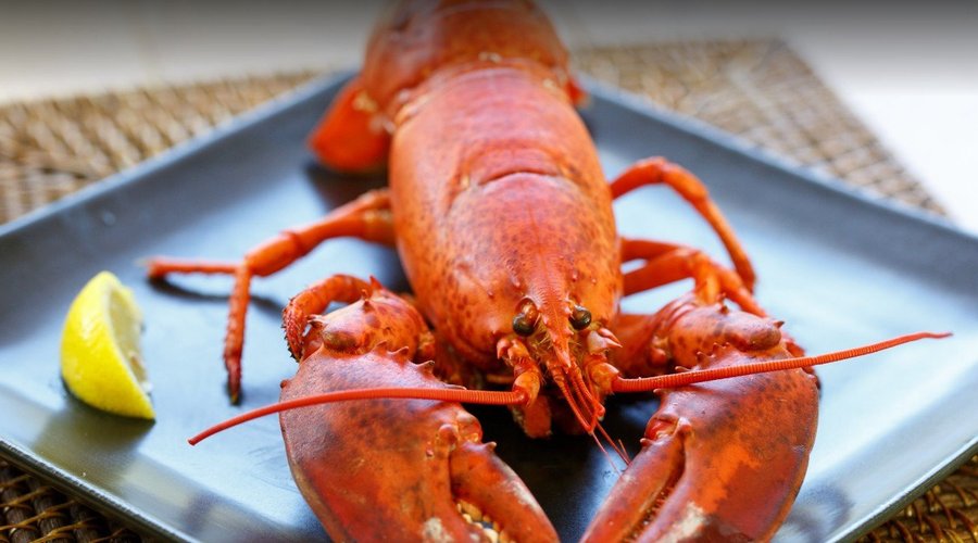 Red Lobster
