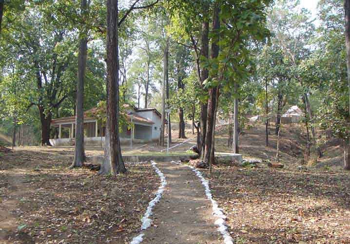 Vansda National Park (Navsari District) - All You Need to Know BEFORE You Go Vansda National Park (Navsari District) - All You Need to Know BEFORE You Go
