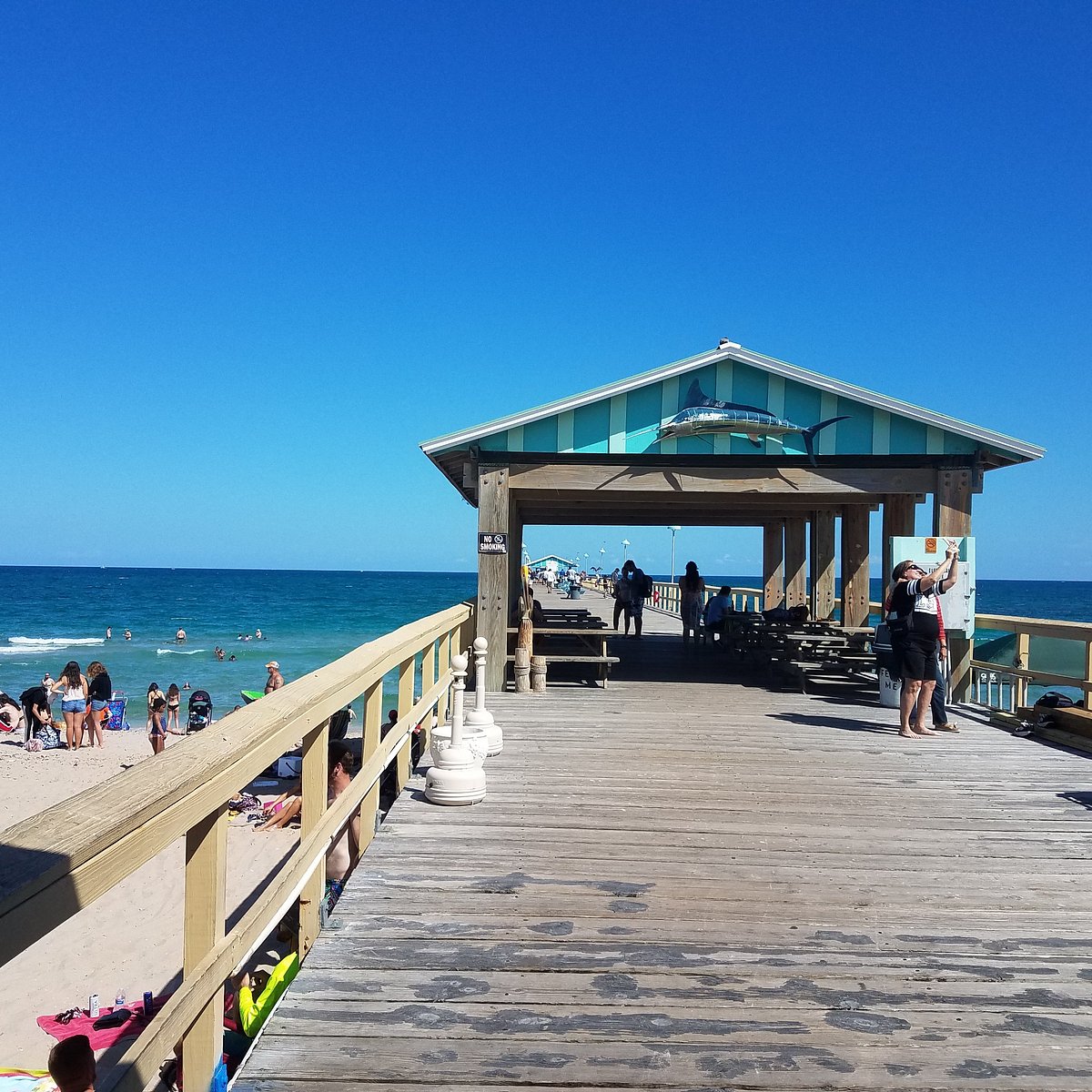 Anglin's Fishing Pier - All You Need to Know BEFORE You Go (2024)
