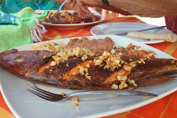 THE 10 BEST Restaurants in Yelapa (Updated July 2024) - Tripadvisor