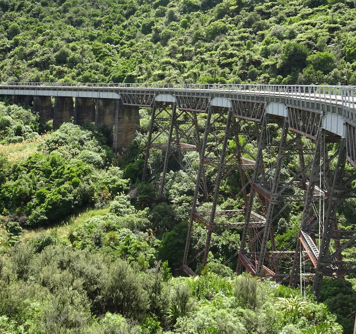 ohakune-old-coach-road-parque-nacional-de-tongariro-atualizado-2022