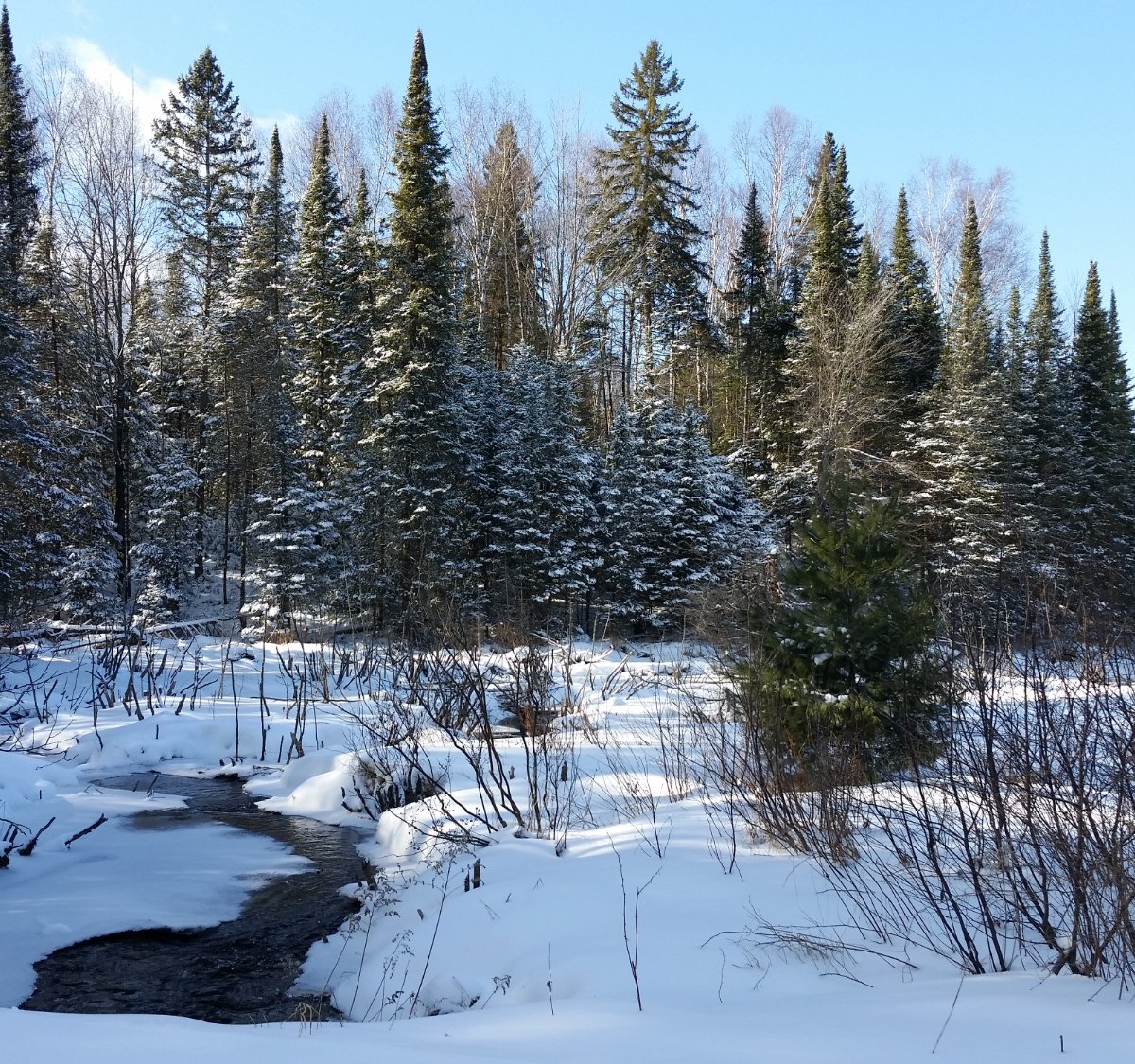 Minocqua Winter Park & Nordic Center - All You Need to Know BEFORE You Go  (2024)